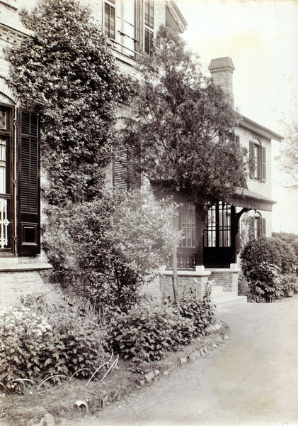 Garden plants by the entrance to a house