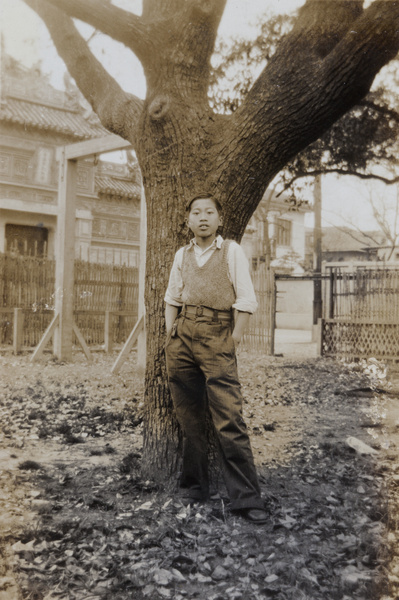 A boy by a tree