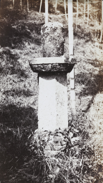 Weathered stone form on top of a free-standing pillar