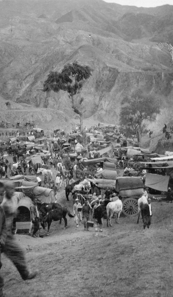 Parked Peking carts and carriages