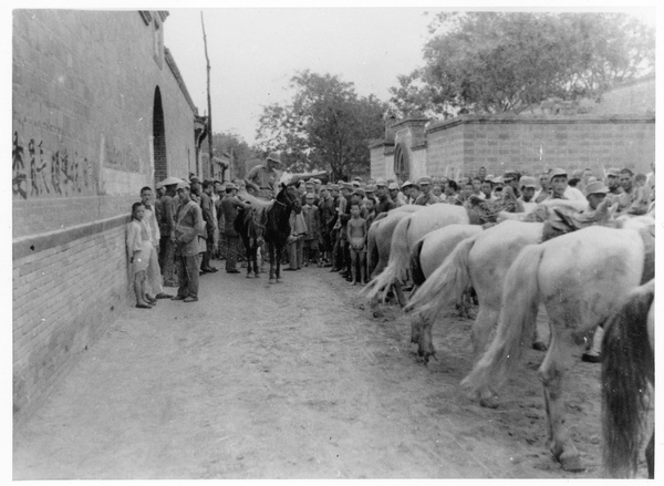 Crowd and soldiers with horses