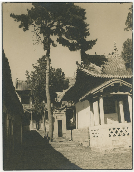 Temple courtyard with trees, near Gaoping (高平), Shanxi