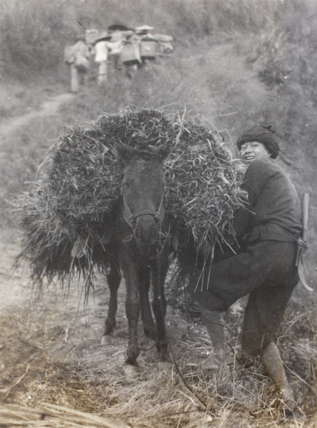 A smiling man with a donkey laden with reeds