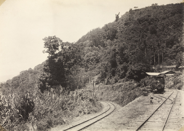 Jhangnaoliao station on the Alishan Forest Railway, Taiwan