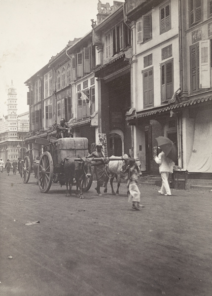 Nagore Durgha and zebu cattle cart, Telok Ayer Street, Singapore