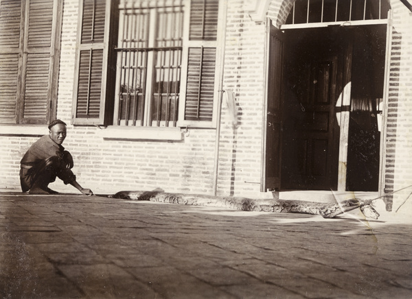 A man holding the tail of a python, Xiamen Hospital