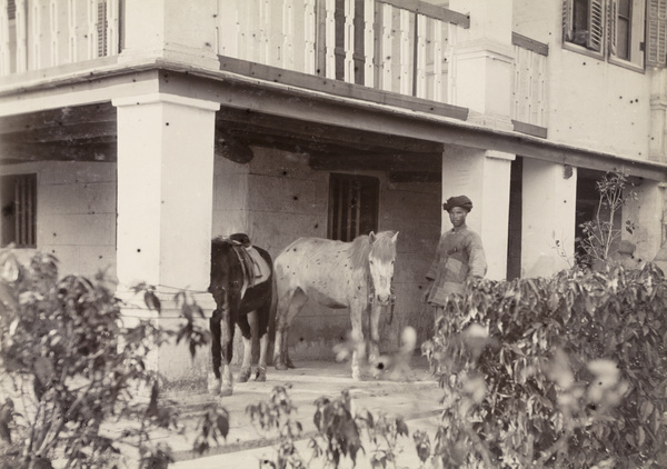 Tun-Lok and horses, Zhangpu