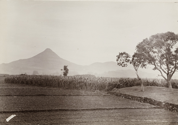 Fields on the Yunxiao plain, Fujian province