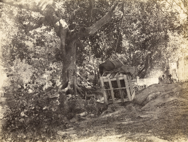 The head of a robber in a wooden cage, Gulangyu, Xiamen