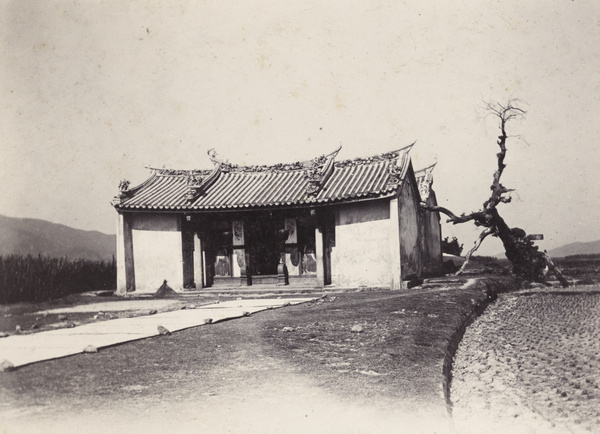 A wayside temple beside an old tree