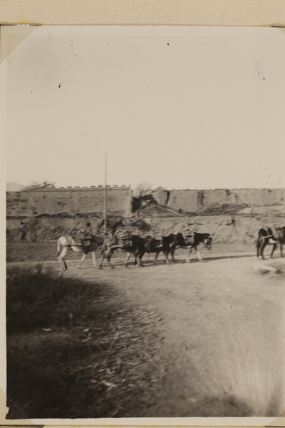 Pack animals on a country road, Shanxi province