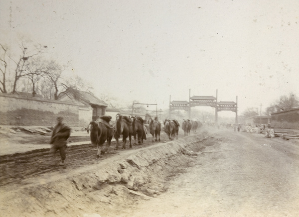 Camel caravan and pailou, Peking