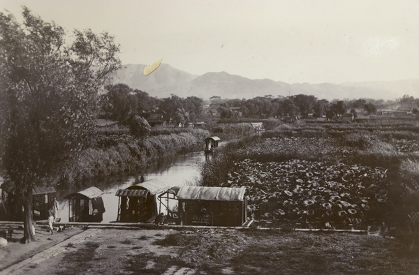 Punts at Taming Lake