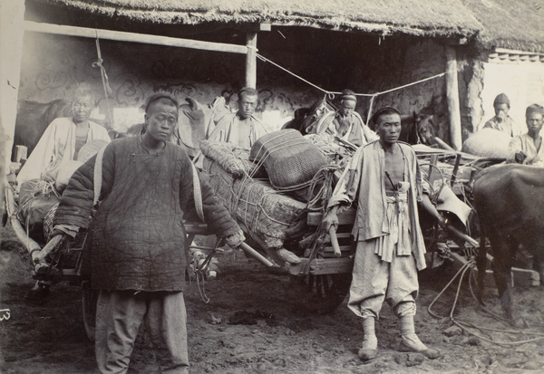 Carters with laden wheelbarrows for official British travelling group, Shandong