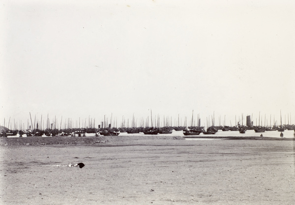 Fishing fleet in harbour, Weihaiwei