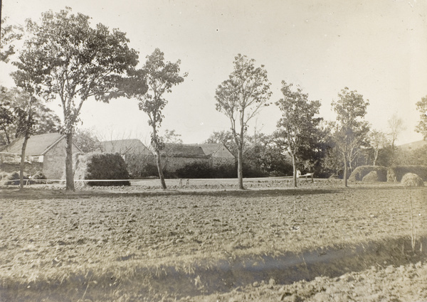 Making cotton warp in a field, Weihaiwei