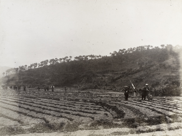 The New Territories Boundary Delimitation Commission on fields near Shenzhen (深圳), Hong Kong