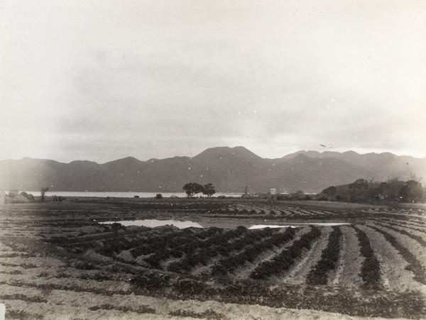 View of the border between the New Territories (新界) and Shenzhen (深圳), Hong Kong