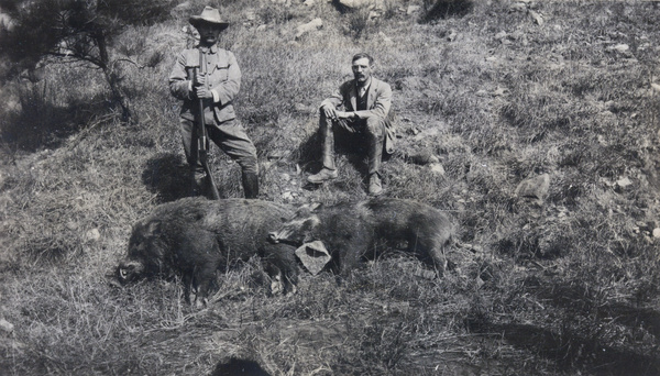 huntsmen with two dead wild boar