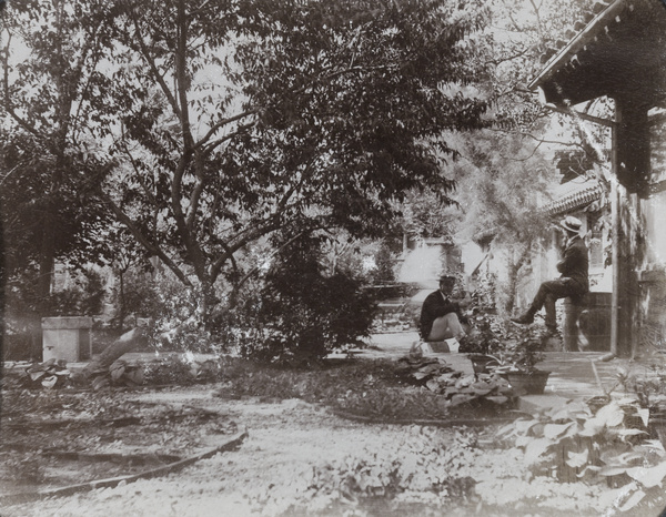 Two men sitting in a garden