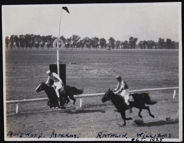 Two horse race - at the finishing post