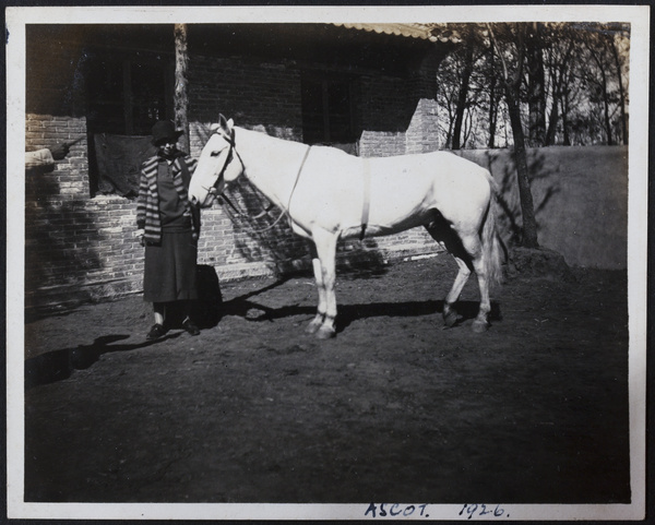 Woman with the racehorse 'Ascot'