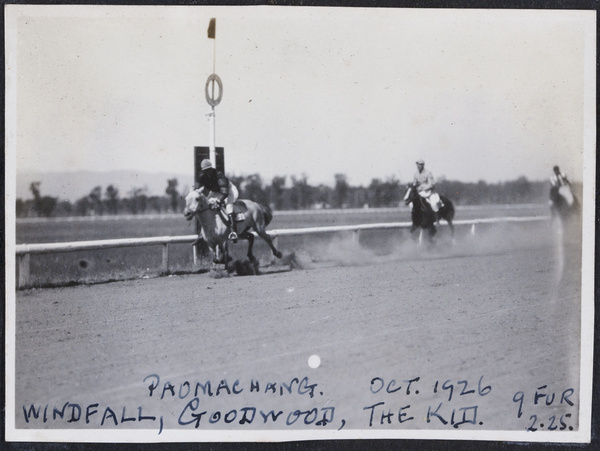 Windfall wins the race
