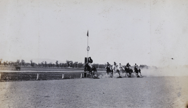 Race horses at finishing post