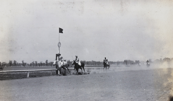 Racehorses at finishing post