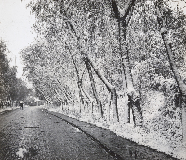 Road after snowfall, with rickshaw