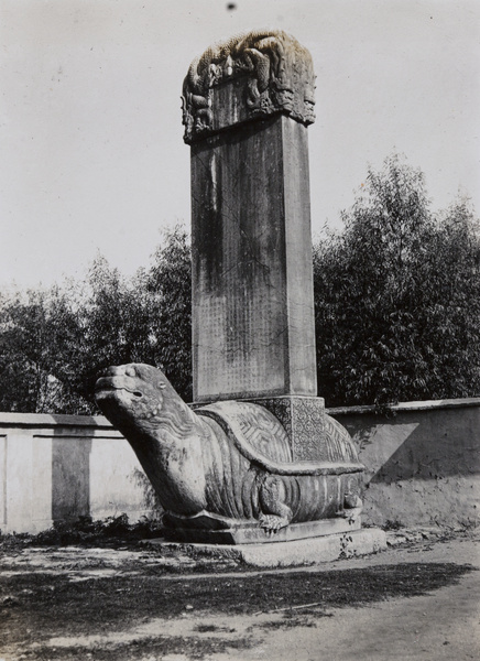 Tortoise stele