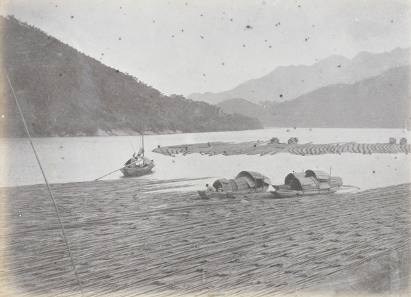 Bamboo rafts, Yuen Foo River