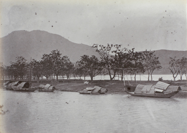 Sampans moored in a creek