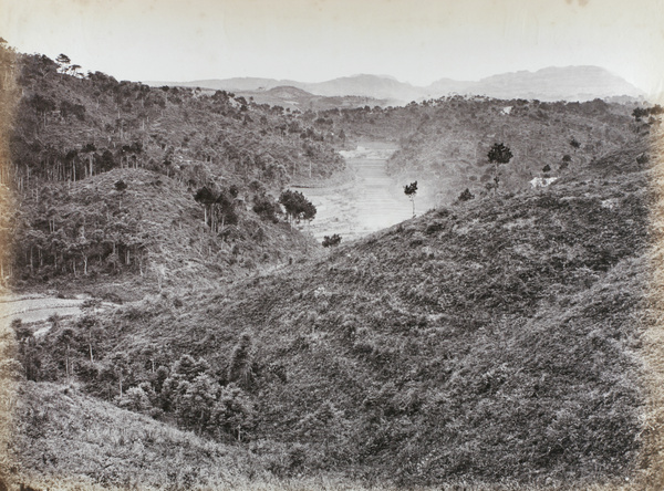 Hillside with some terracing