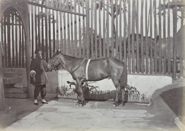 'Newstead' with a groom