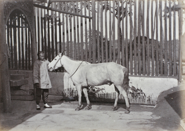 'Blitz' with a groom