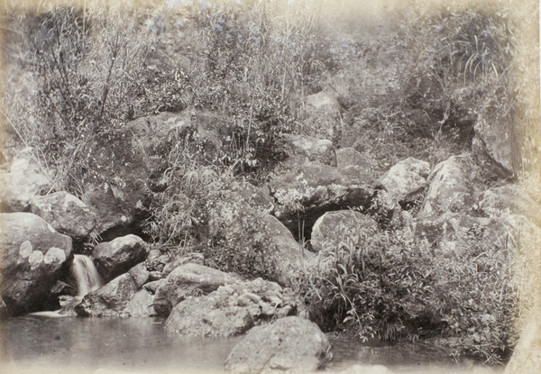 A stream flows into a pond, near Kushan Monastery