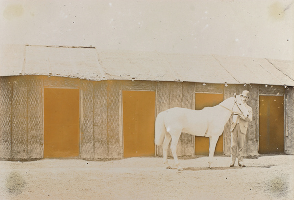 'Cobweb' and stables