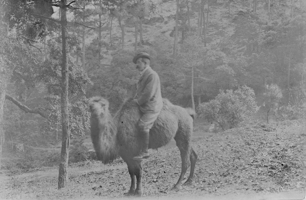 A European riding a Bactrian camel