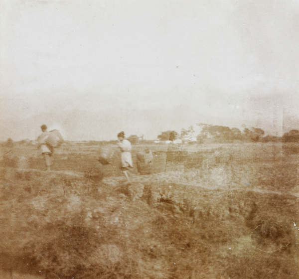 Women carrying baskets of rice