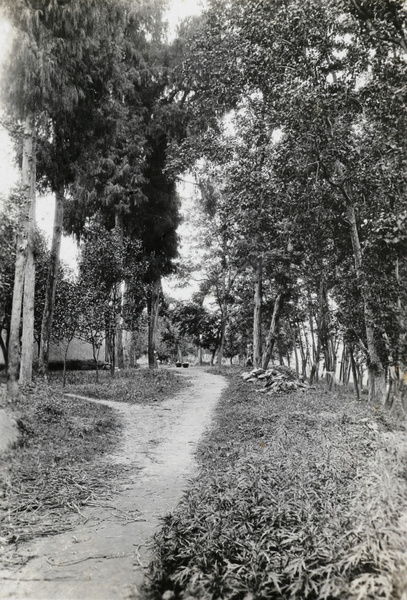 A walk near Ichang