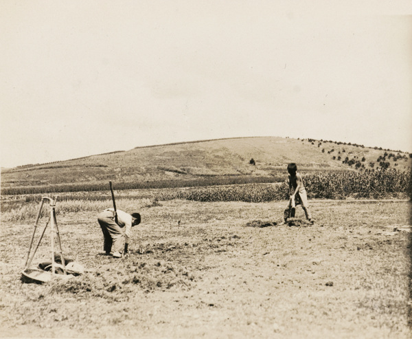 Farm labourers