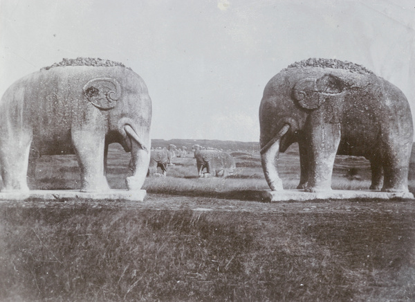 Stone elephants and camels, Spirit Way (南京), Xiao Ling Mausoleum (孝陵), near Nanjing (南京市)