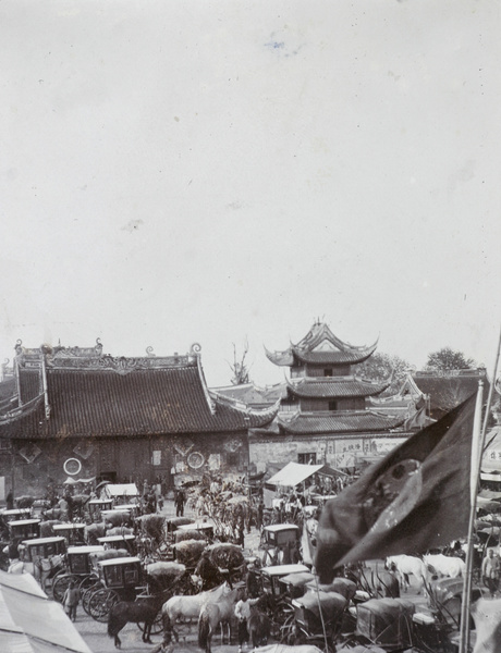 Peach Blossom Festival (Spring Fair), Longhua Temple, Shanghai