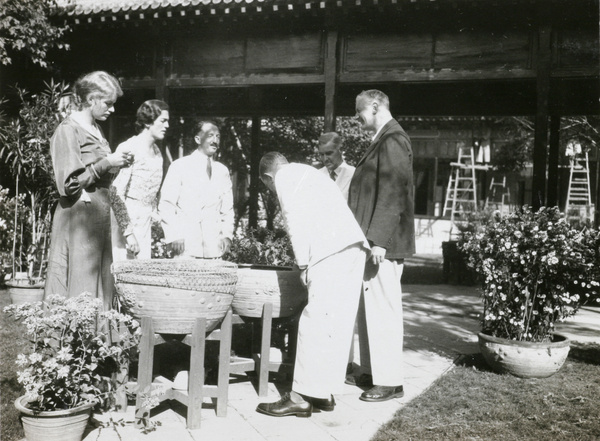 Looking at goldfish (‘flowers that move’), British Legation, Beijing