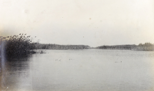 Inland marshy waterway, probably near Shanghai