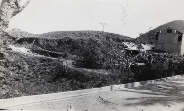 Fallen tree and damaged buildings, Hong Kong