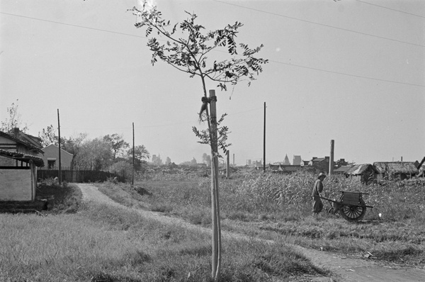 Farms and fields in Pootung, Shanghai