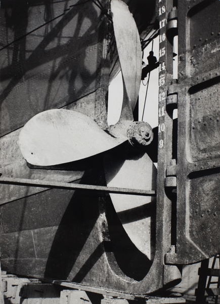 Ship's propeller and rudder, in a dry dock, Shanghai