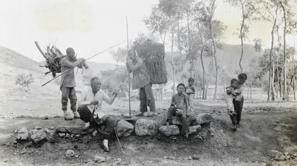 Gathering firewood